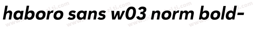 haboro sans w03 norm bold字体转换